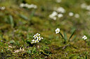 BUITEN BEELD Foto: 444764