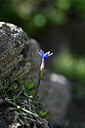 BUITEN BEELD Foto: 444765