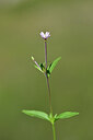 BUITEN BEELD Foto: 444767
