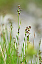 BUITEN BEELD Foto: 444770