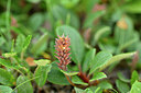 BUITEN BEELD Foto: 444773