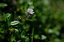 BUITEN BEELD Foto: 444776