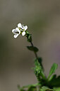 BUITEN BEELD Foto: 444777