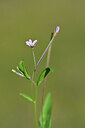 BUITEN BEELD Foto: 444778