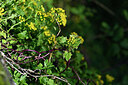 BUITEN BEELD Foto: 444779