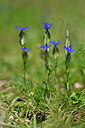 BUITEN BEELD Foto: 444781