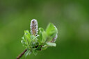 BUITEN BEELD Foto: 444782