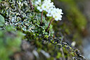 BUITEN BEELD Foto: 444783