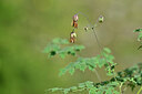 BUITEN BEELD Foto: 444784