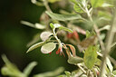 BUITEN BEELD Foto: 444790