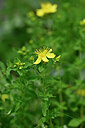 BUITEN BEELD Foto: 444791