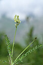 BUITEN BEELD Foto: 444792