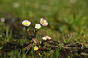 BUITEN BEELD Foto: 444793