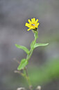 BUITEN BEELD Foto: 444797
