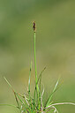 BUITEN BEELD Foto: 444799