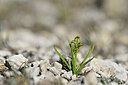 BUITEN BEELD Foto: 444801