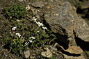 BUITEN BEELD Foto: 444805