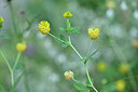 BUITEN BEELD Foto: 444806