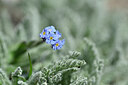 BUITEN BEELD Foto: 444807