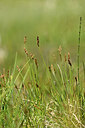 BUITEN BEELD Foto: 444808