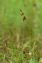 BUITEN BEELD Foto: 444809