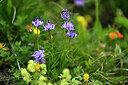 BUITEN BEELD Foto: 444812