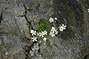 BUITEN BEELD Foto: 444817