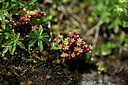 BUITEN BEELD Foto: 444823