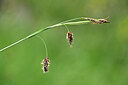 BUITEN BEELD Foto: 444825