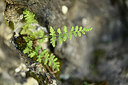 BUITEN BEELD Foto: 444831