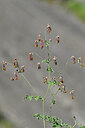 BUITEN BEELD Foto: 444832