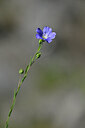 BUITEN BEELD Foto: 444835