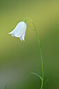 BUITEN BEELD Foto: 444836