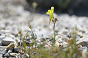 BUITEN BEELD Foto: 444837