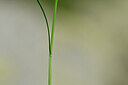 BUITEN BEELD Foto: 444838