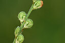 BUITEN BEELD Foto: 444839