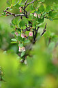 BUITEN BEELD Foto: 444840