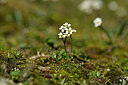 BUITEN BEELD Foto: 444848