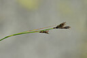 BUITEN BEELD Foto: 444856