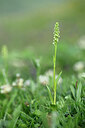 BUITEN BEELD Foto: 444857