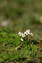 BUITEN BEELD Foto: 444864