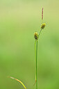 BUITEN BEELD Foto: 444868