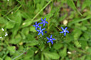 BUITEN BEELD Foto: 444869