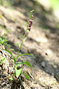 BUITEN BEELD Foto: 444877