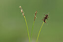 BUITEN BEELD Foto: 444878