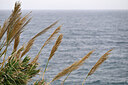 BUITEN BEELD Foto: 444883