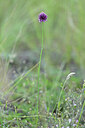 BUITEN BEELD Foto: 444884