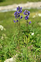 BUITEN BEELD Foto: 444885