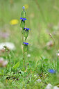 BUITEN BEELD Foto: 444890