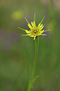 BUITEN BEELD Foto: 444893